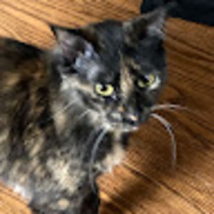 Meet your Posher, Claude